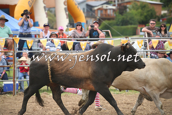 JindabyneRodeo2014_0251