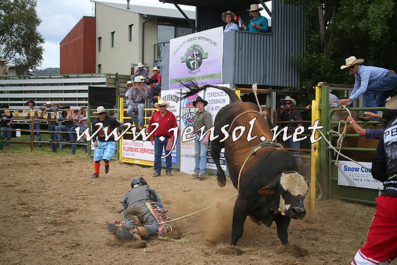 JindabyneRodeo2014_0533