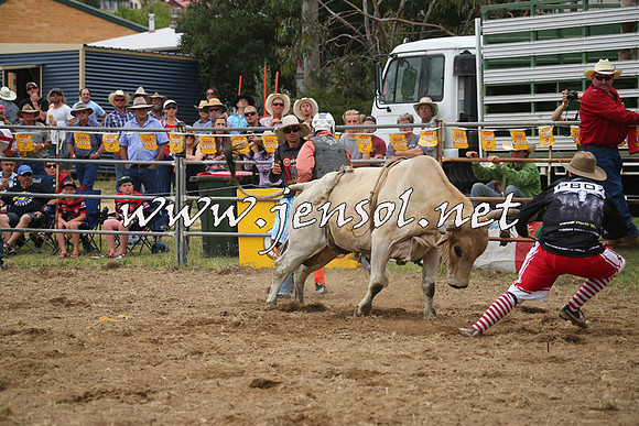 JindabyneRodeo2014_0715