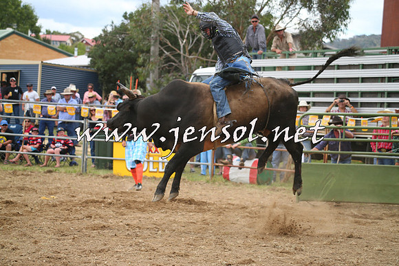 JindabyneRodeo2014_0594