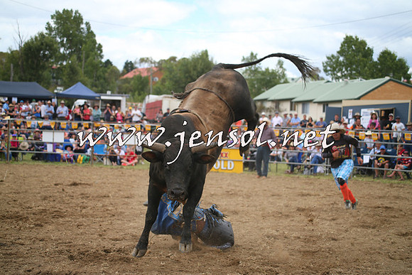 JindabyneRodeo2014_0605