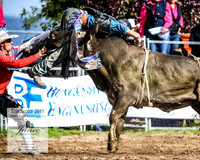 BraidwoodRodeo2019_0831