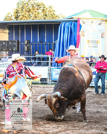BraidwoodRodeo2019_3119
