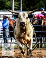 BraidwoodRodeo2019_0781