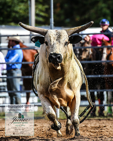 BraidwoodRodeo2019_0781