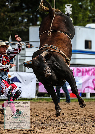 BraidwoodRodeo2019_1246