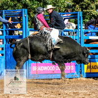 BraidwoodRodeo2019_0704