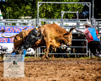 BraidwoodRodeo2019_0804