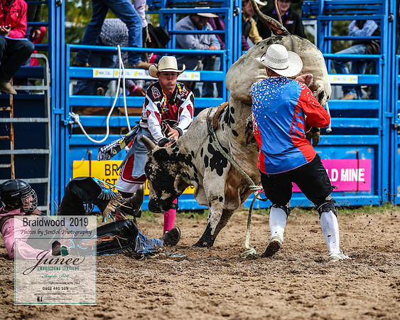 BraidwoodRodeo2019_1308