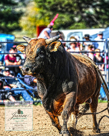BraidwoodRodeo2019_2029