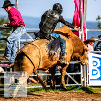 BraidwoodRodeo2019_0785