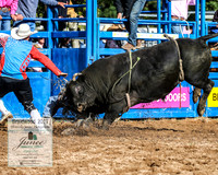 BraidwoodRodeo2019_0710