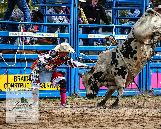 BraidwoodRodeo2019_1316