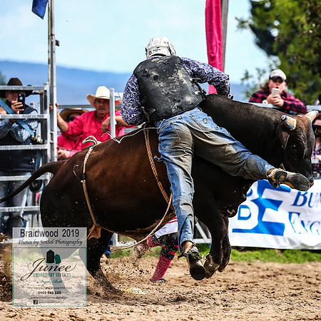 BraidwoodRodeo2019_1220