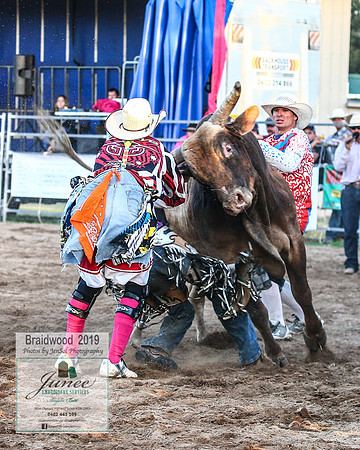BraidwoodRodeo2019_3121