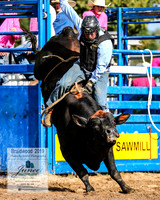 BraidwoodRodeo2019_0876