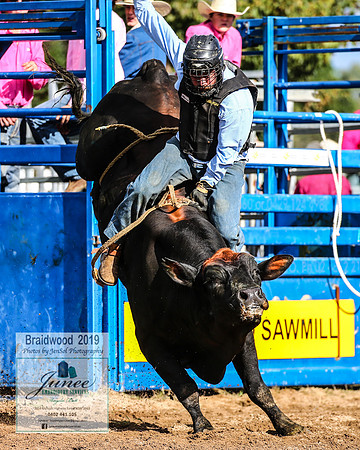 BraidwoodRodeo2019_0876