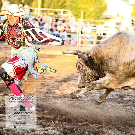 BraidwoodRodeo2019_3079