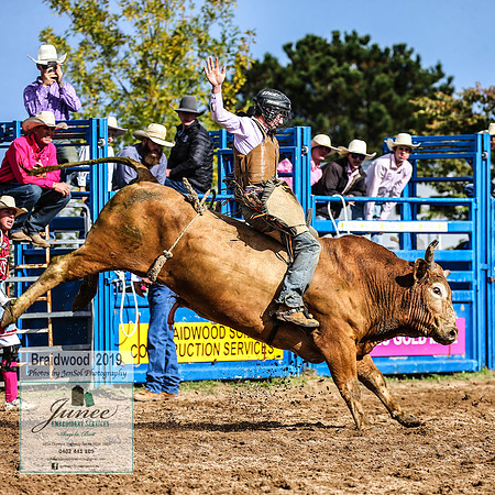 BraidwoodRodeo2019_0910