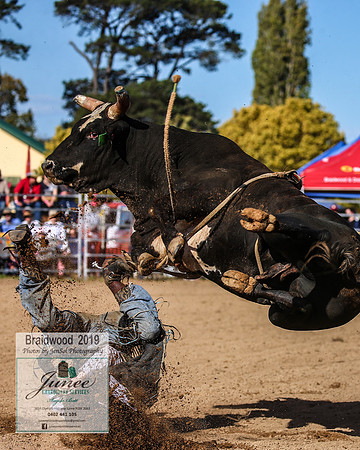 BraidwoodRodeo2019_2122