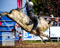 BraidwoodRodeo2019_0743
