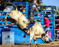 BraidwoodRodeo2019_0726