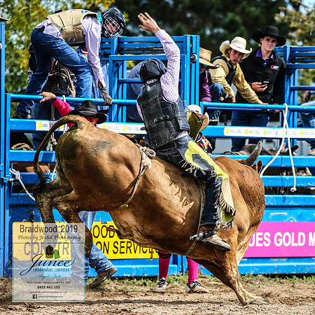 BraidwoodRodeo2019_1337