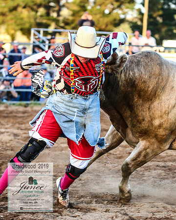 BraidwoodRodeo2019_3086