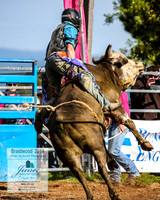 BraidwoodRodeo2019_0827