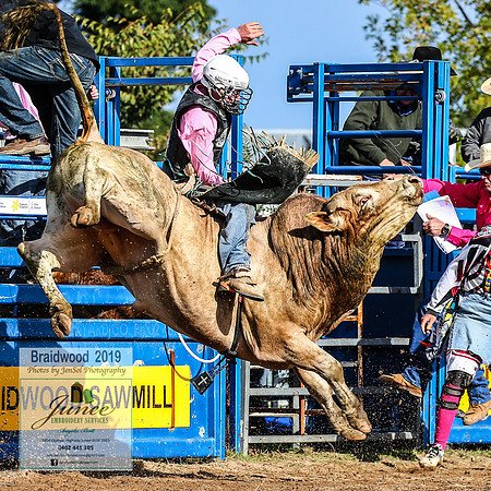BraidwoodRodeo2019_0677