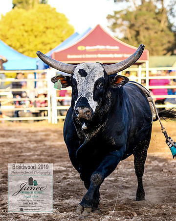 BraidwoodRodeo2019_3016
