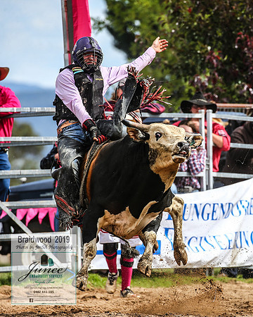 BraidwoodRodeo2019_1268