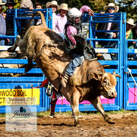 BraidwoodRodeo2019_0685