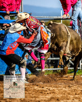 BraidwoodRodeo2019_0857