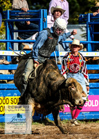 BraidwoodRodeo2019_0651