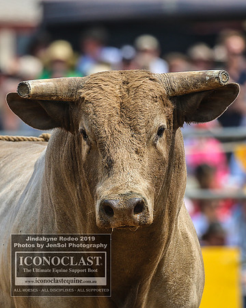 JindabyneRodeo2019_3077