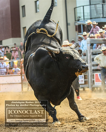 JindabyneRodeo2019_3881