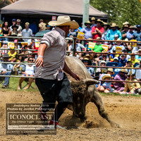 JindabyneRodeo2019_1333