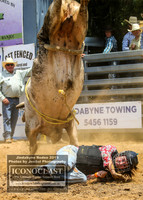 JindabyneRodeo2019_1224