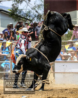 JindabyneRodeo2019_1088
