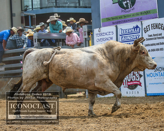 JindabyneRodeo2019_2838