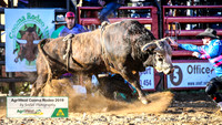 CoomaRodeo2019_0277