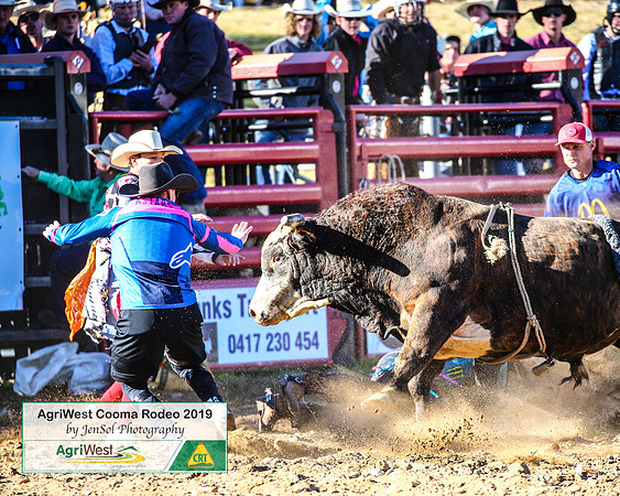 CoomaRodeo2019_0290