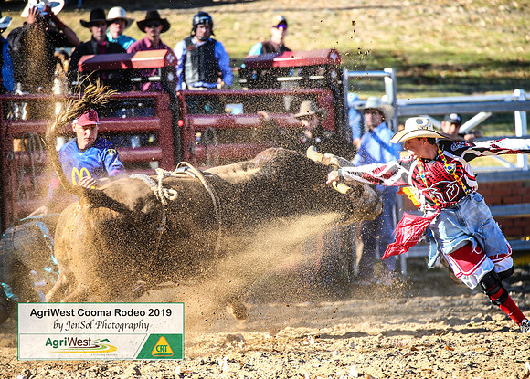 CoomaRodeo2019_0306
