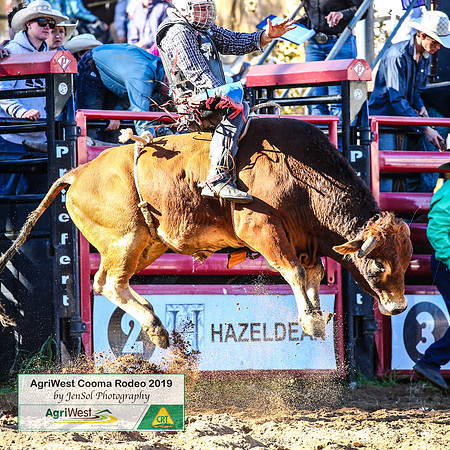 CoomaRodeo2019_0312