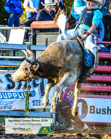 CoomaRodeo2019_2294