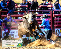 CoomaRodeo2019_0288