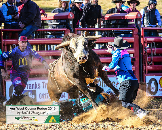 CoomaRodeo2019_0288