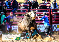 CoomaRodeo2019_0296