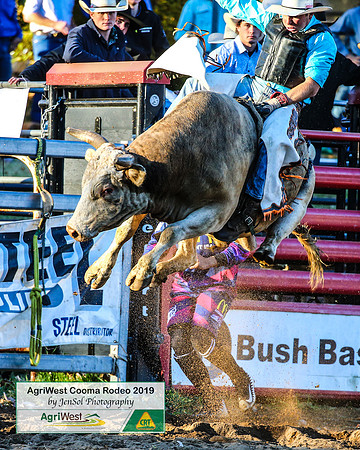 CoomaRodeo2019_2301